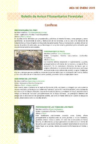 application/pdf