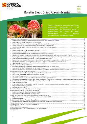 application/pdf