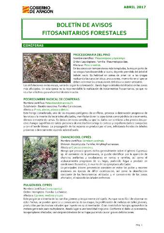 application/pdf