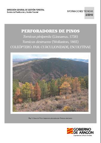 application/pdf