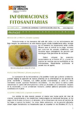 application/pdf