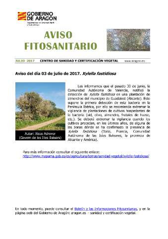 application/pdf