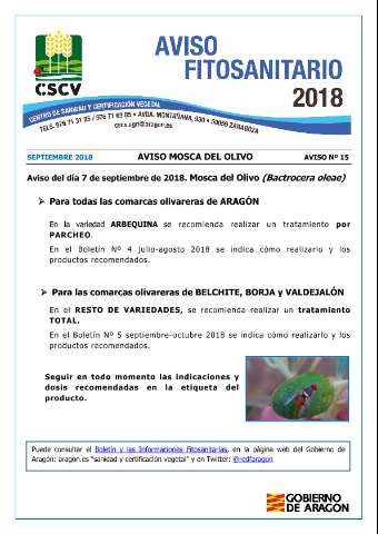 application/pdf