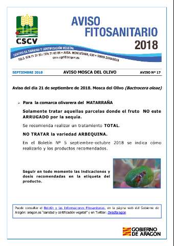 application/pdf