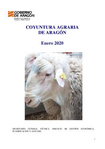 application/pdf