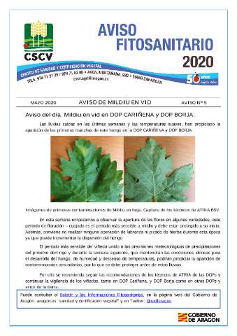 application/pdf