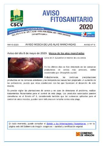 application/pdf