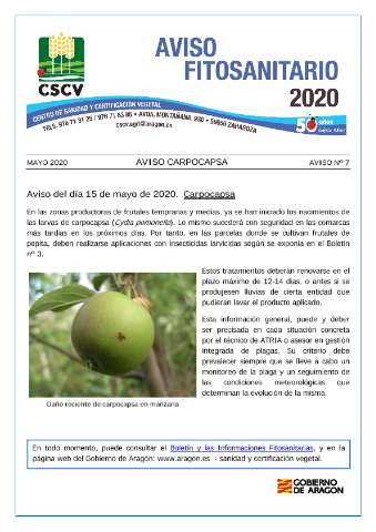 application/pdf
