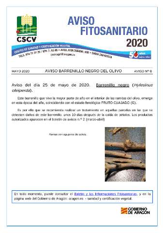 application/pdf