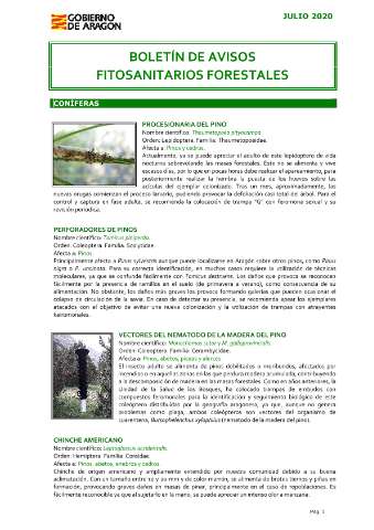 application/pdf