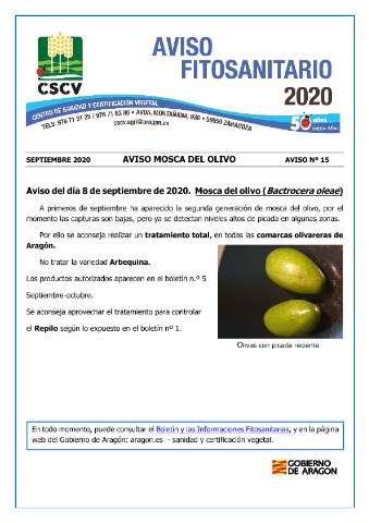 application/pdf
