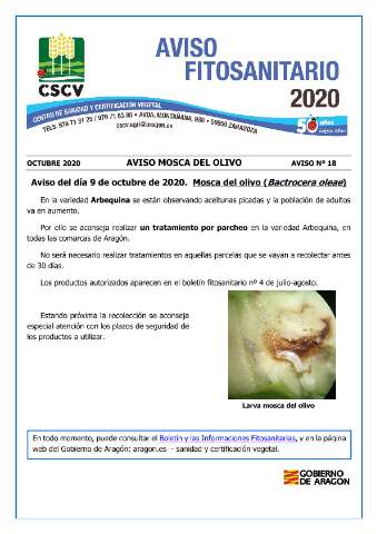 application/pdf
