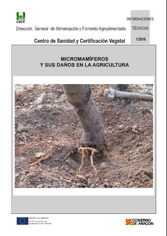 application/pdf