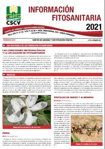 application/pdf