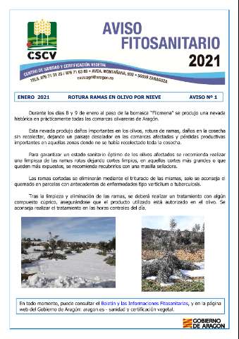 application/pdf