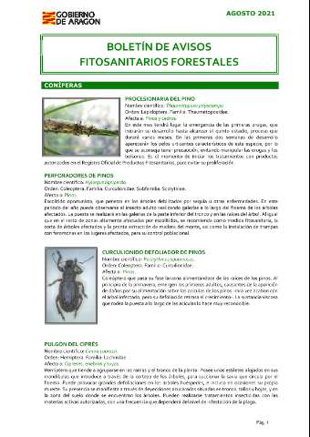 application/pdf
