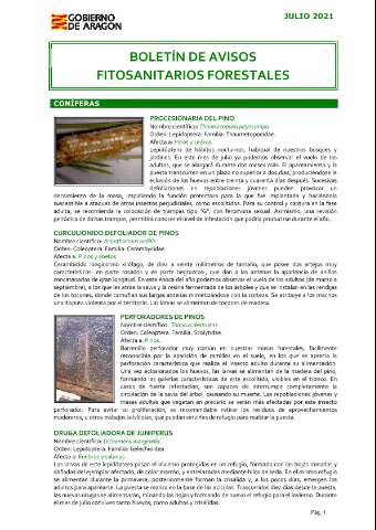 application/pdf