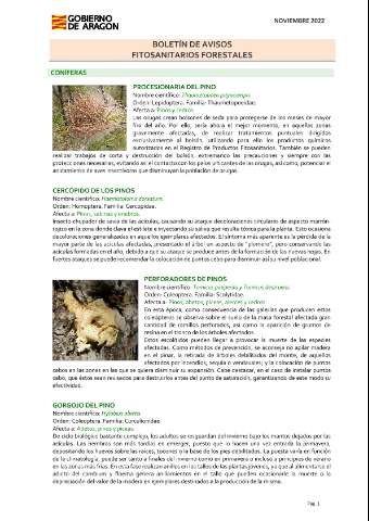 application/pdf