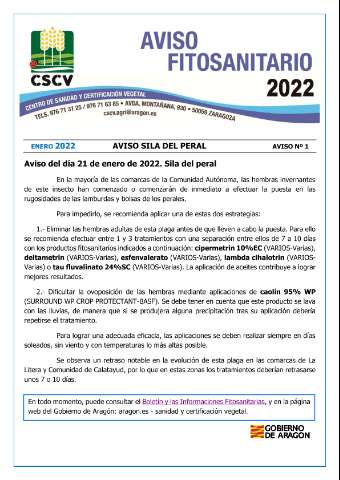 application/pdf