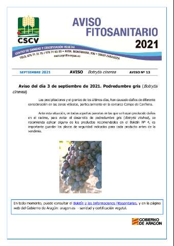 application/pdf
