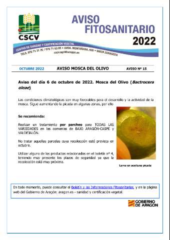 application/pdf