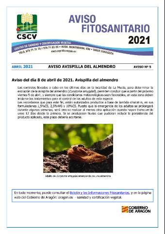 application/pdf