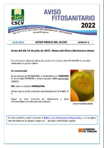 application/pdf