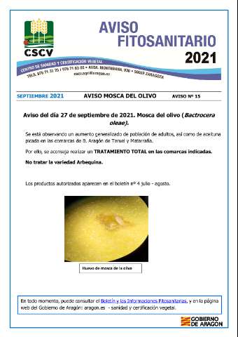 application/pdf