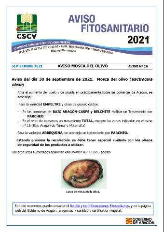 application/pdf