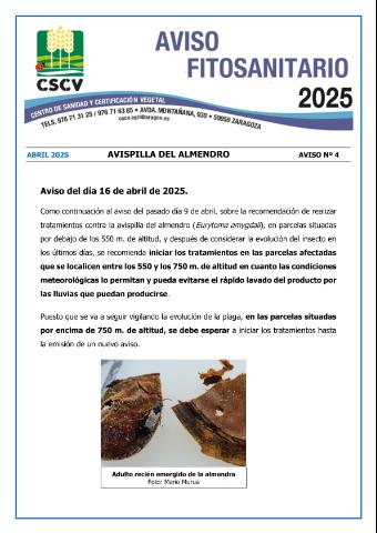 application/pdf