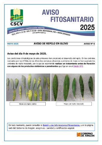 application/pdf