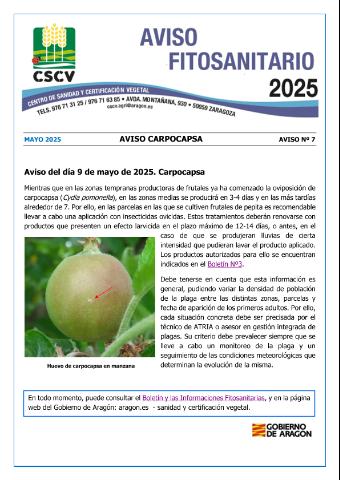 application/pdf