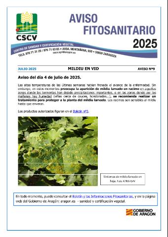 application/pdf