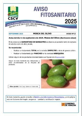 application/pdf