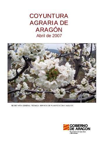 application/pdf