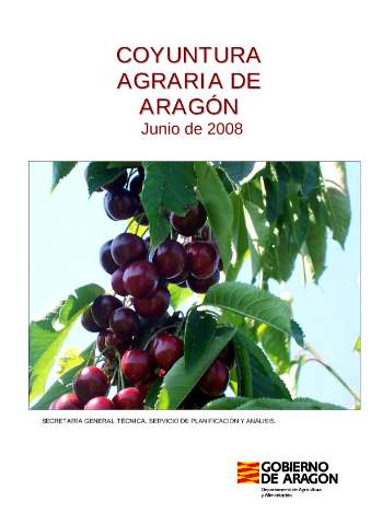 application/pdf