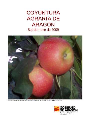 application/pdf