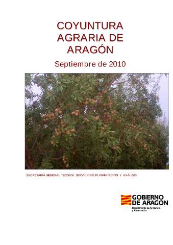 application/pdf