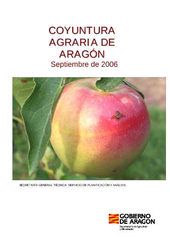 application/pdf