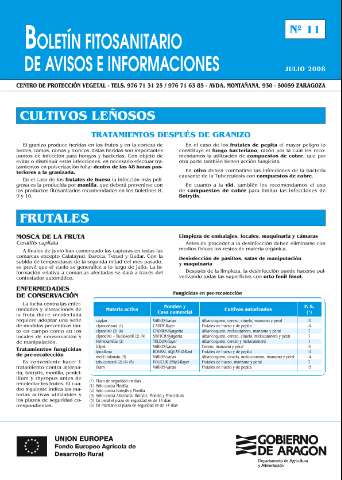 application/pdf