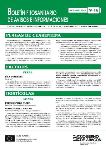 application/pdf