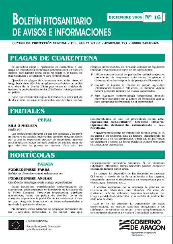 application/pdf
