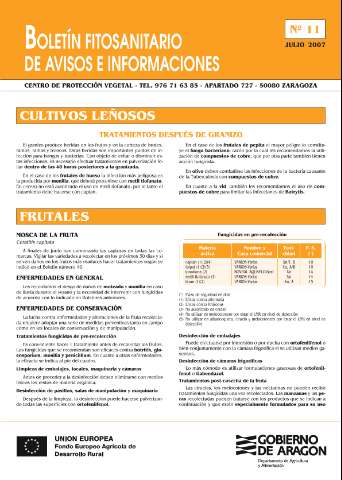 application/pdf