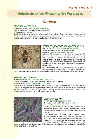 application/pdf