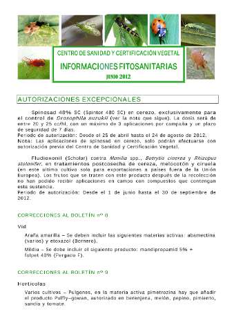 application/pdf