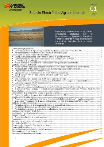 application/pdf