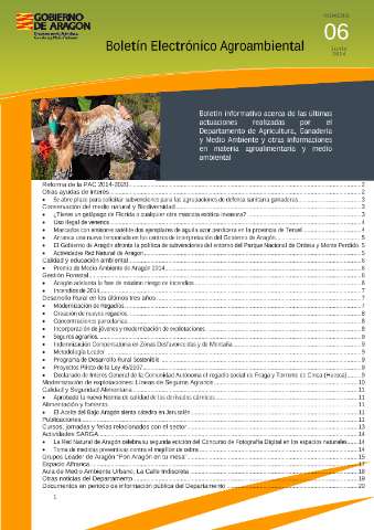 application/pdf