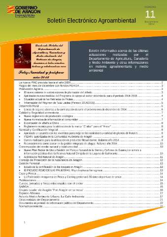 application/pdf