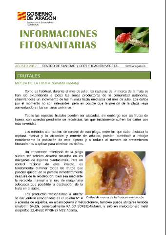application/pdf