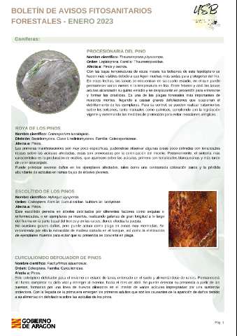 application/pdf